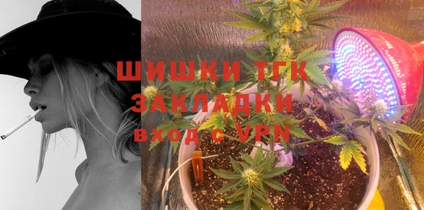 ГАЛЛЮЦИНОГЕННЫЕ ГРИБЫ Медвежьегорск