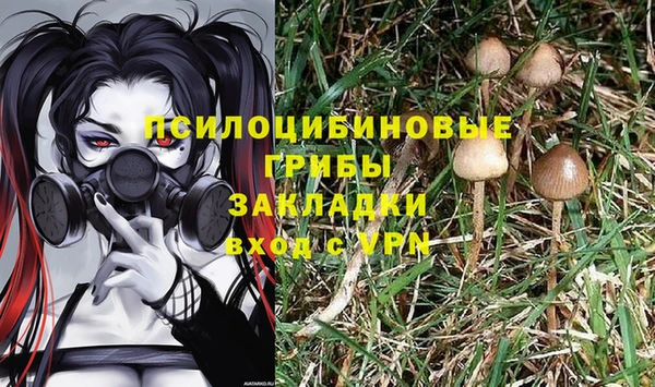 прущие крисы Алексеевка