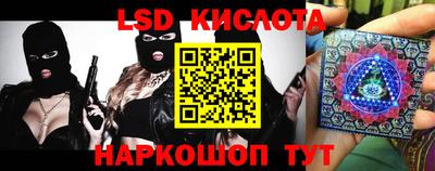 PSILOCYBIN Кимры
