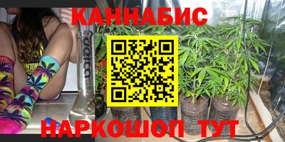 гидра Кинель