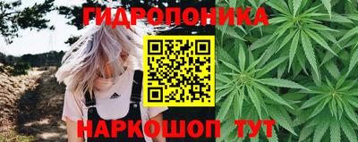 мефедрон Кингисепп