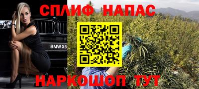 PSILOCYBIN Кимры