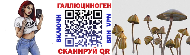 купить закладку  blacksprut   Галлюциногенные грибы прущие грибы  Красноярск 